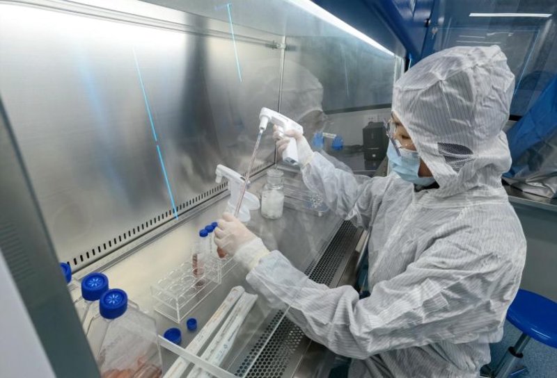 基因检测技术：传统方法与新兴工具的较量