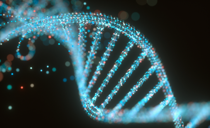 生物医药研发外包：选择最适合你的合作伙伴